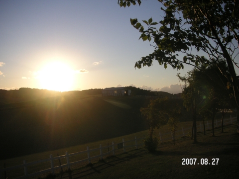 s_PICT0280.jpg